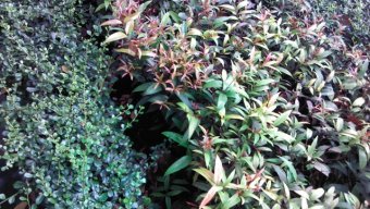 รีวิว Acer Iconia Tab A100 : กลับมาอีกครั้งกับขนาด 7 นิ้ว เร็วขึ้น พกง่ายกว่าเดิม