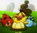 วิดีโอพรีวิว Angry Birds Rio มาแล้ว บอกได้เลยว่าน่าเล่นมากมาย
