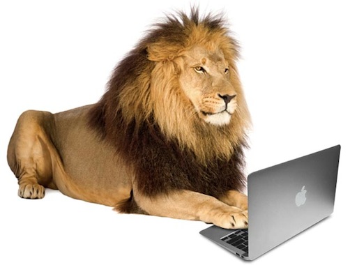 lion and macbook air