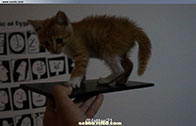 หลุดภาพ Sony Togari คาดใช้ชื่อว่างจำหน่ายว่า Xperia ZU