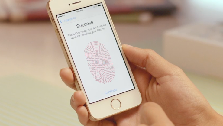 fingerprint success
