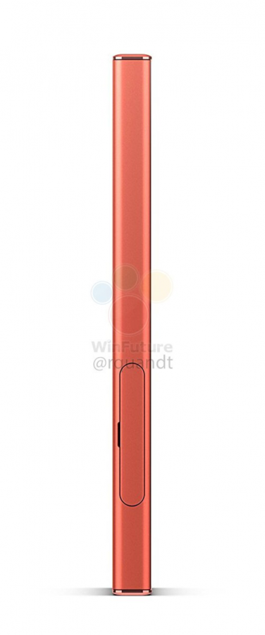 หลุดภาพเรนเดอร์ Sony Xperia XZ1 Compact สีชมพู เครื่องเล็กสเปคเรือธง