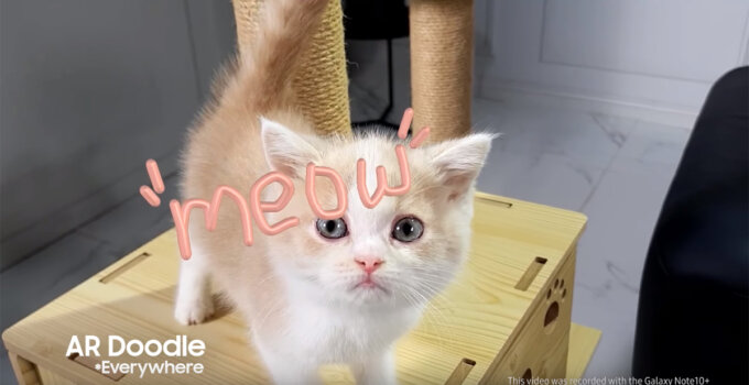 ทาสแมวต้องมา! ชมคลิปการใช้งาน AR และการตัดต่อคลิปน้องแมวด้วย Samsung Galaxy Note 10+