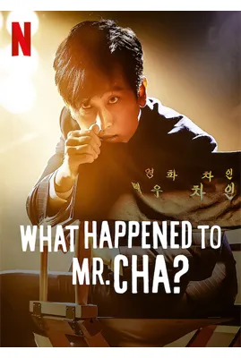 หนัง netflix ที่ดีที่สุด หนังดี netflix What Happened to Mr. Cha