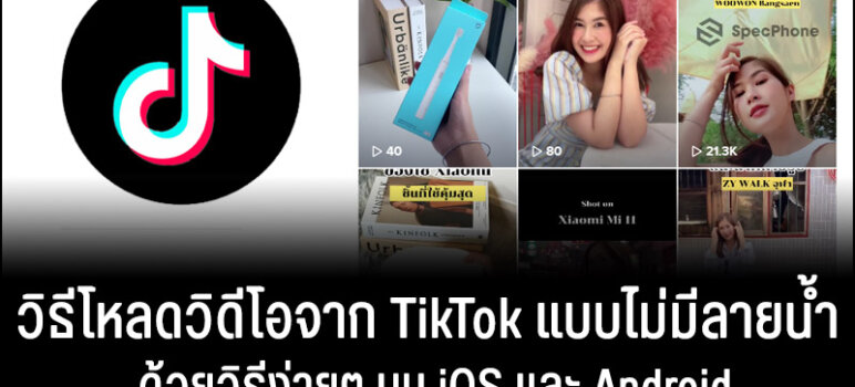 TikTok Video Download ไม่มีลายน้ำ