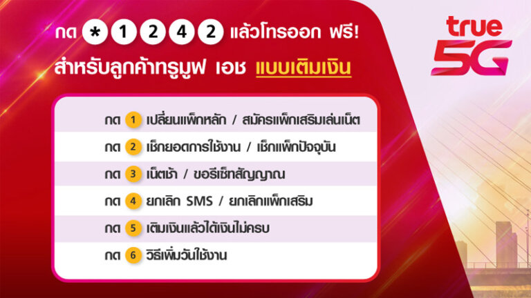 เช็คเงินทรู เช็คโปรทรู เช็คเน็ตทรู ปี 2022 10