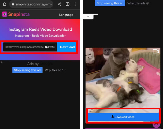 เว็บโหลดวิดีโอจาก IG Instagram download video และวิธีโหลดวิดีโอจาก IG 8