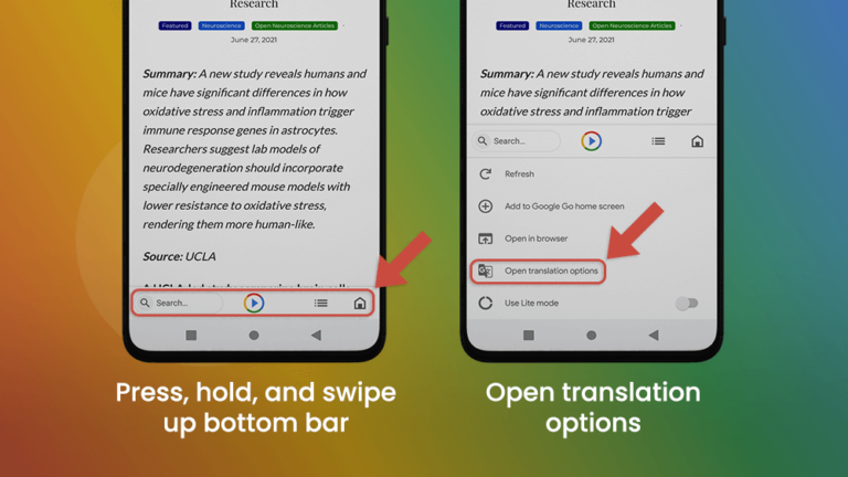 11. Google Go Open Translation Options