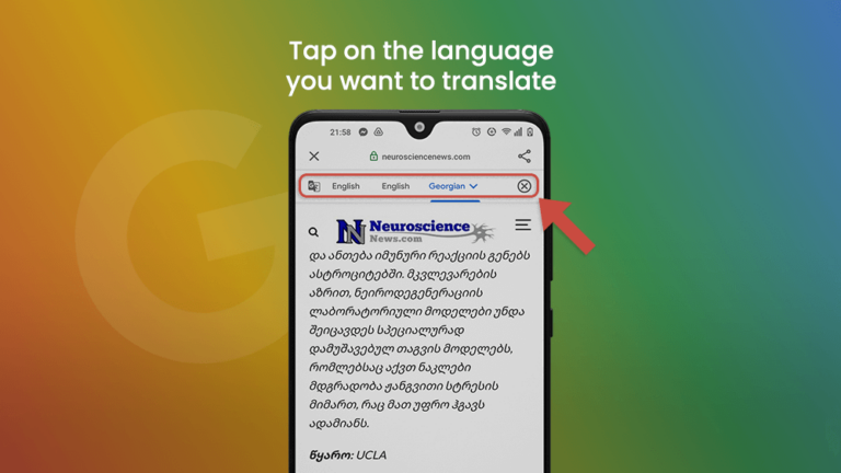 12. Google Go Tap on the Language you want to Translate