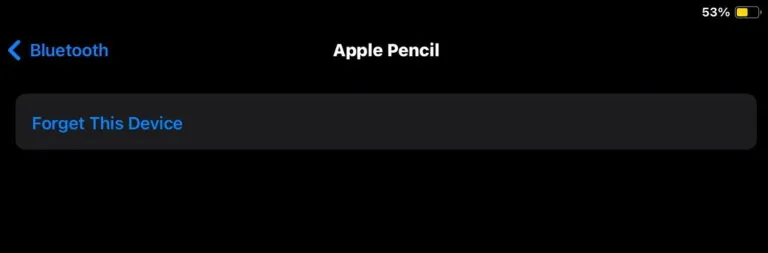 forgetting apple pencil as a device