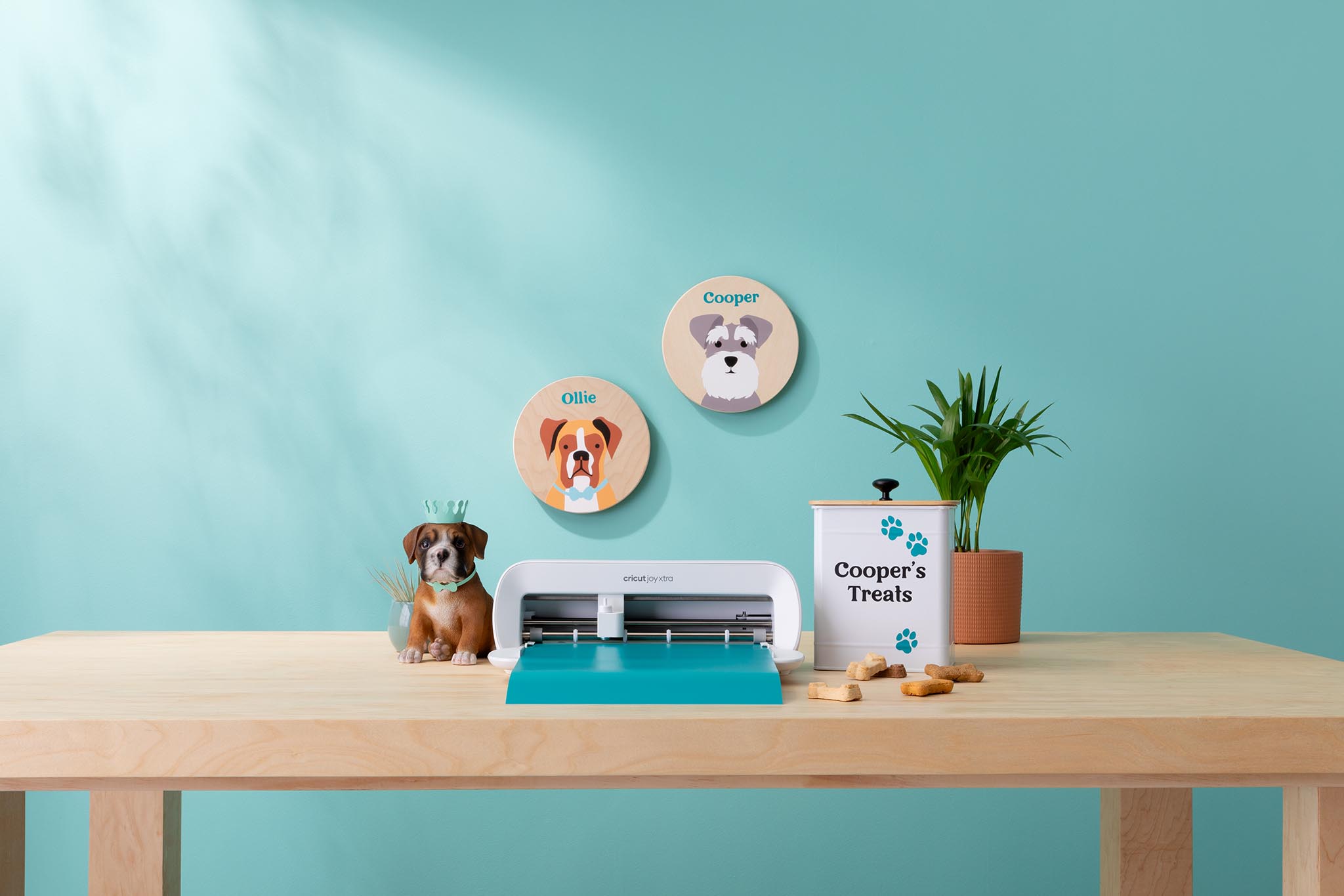 อาร์ทีบีฯ เปิดตัว Cricut Joy Xtra เครื่องตัดสติ๊กเกอร์อัจฉริยะรุ่นใหม่ รองรับเครื่องพิมพ์อิงค์เจ็ท ให้การสร้างสรรค์งานคราฟท์ง่าย สนุก และรวดเร็วยิ่งกว่าเดิม