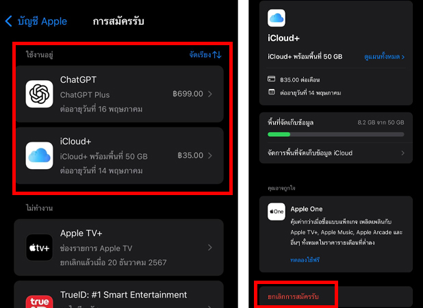 วิธียกเลิกแอพเสียเงิน iOS Android ยกเลิกสมัครแอพทั้งหมดทำยังไง ปี 2025 4