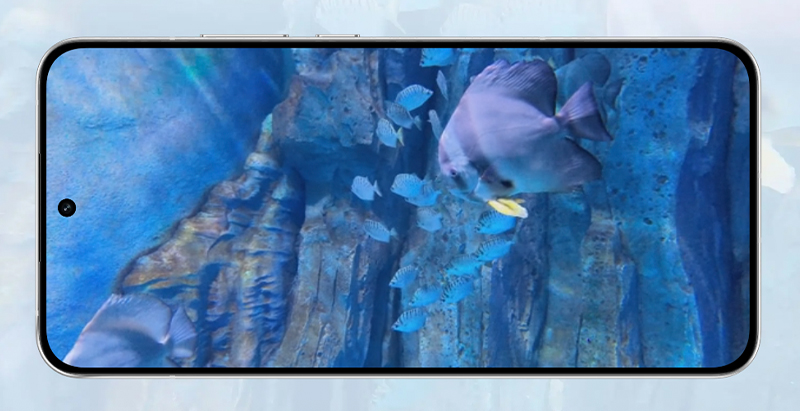 เปิดตัว OPPO Reno 14 Series 5g OPPO Reno 14 pro OPPO Reno 14F สเปค ราคา เปิดตัว รีวิว 2025 2.jpg