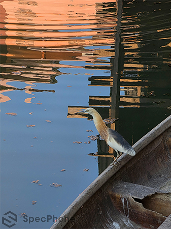 รีวิว Samsung Galaxy S26 Ultra ครั้งแรกกับจอ Privacy Display พร้อมอัปเกรดกล้องและ Galaxy AI ให้เหนือกว่าเดิม