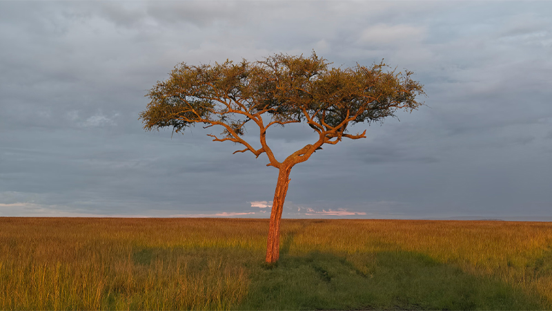 เปิดตัว vivo X300 Ultra จัดเต็มจอ 2K 144Hz ชิป Snapdragon 8 Elite Gen 5 และกล้องคู่ 200MP ตัวเทพ 