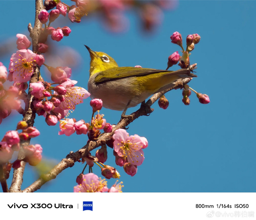 เปรียบเทียบ OPPO Find X9 Ultra vs vivo X300 Ultra ศึกกล้องเทพ รุ่นไหนเหมาะกับใครบ้าง? 