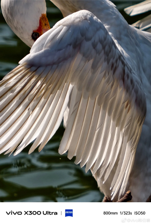 เปรียบเทียบ OPPO Find X9 Ultra vs vivo X300 Ultra ศึกกล้องเทพ รุ่นไหนเหมาะกับใครบ้าง? 